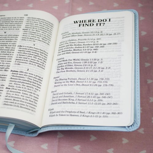 International Children's Bible (ICB) Really Woolly Bible: Pink, Leathersoft