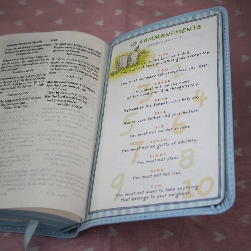 International Children's Bible (ICB) Really Woolly Bible: Blue, Leathersoft