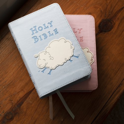 International Children's Bible (ICB) Really Woolly Bible: Blue, Leathersoft