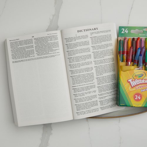 International Children's Bible (ICB) Gift and Award Bible for Girls