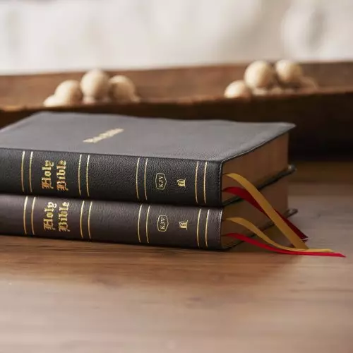 KJV Holy Bible: Super Giant Print with 43,000 Cross References, Brown Bonded Leather, Red Letter, Comfort Print (Thumb Indexed): King James Version