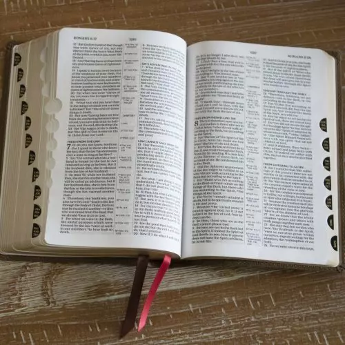 NKJV, Compact Center-Column Reference Bible, Brown Leathersoft, Red Letter, Comfort Print (Thumb Indexed)