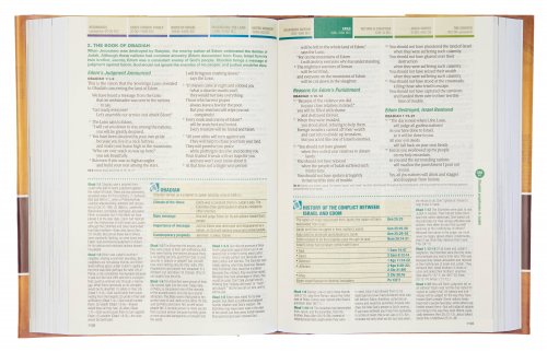 NLT Chronological Life Application Study Bible, Brown, Hardcover, Illustrated, Presentation Page, Maps, Notes, Cross-Reference, Book Introductions