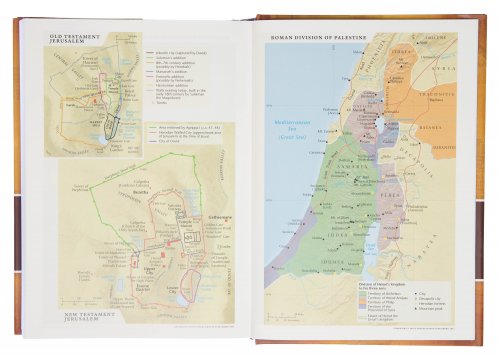 NLT Chronological Life Application Study Bible, Brown, Hardcover, Illustrated, Presentation Page, Maps, Notes, Cross-Reference, Book Introductions