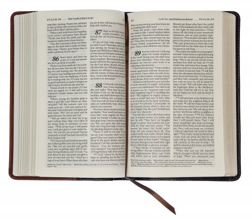 The Living Bible Paraphrase Bible, Brown, Imitation Leather, Concordance, Colour Maps, Bible Reading Plan, Gilt Edged, Ribbon Marker