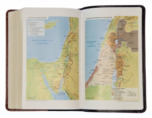 The Living Bible Paraphrase Bible, Brown, Imitation Leather, Concordance, Colour Maps, Bible Reading Plan, Gilt Edged, Ribbon Marker