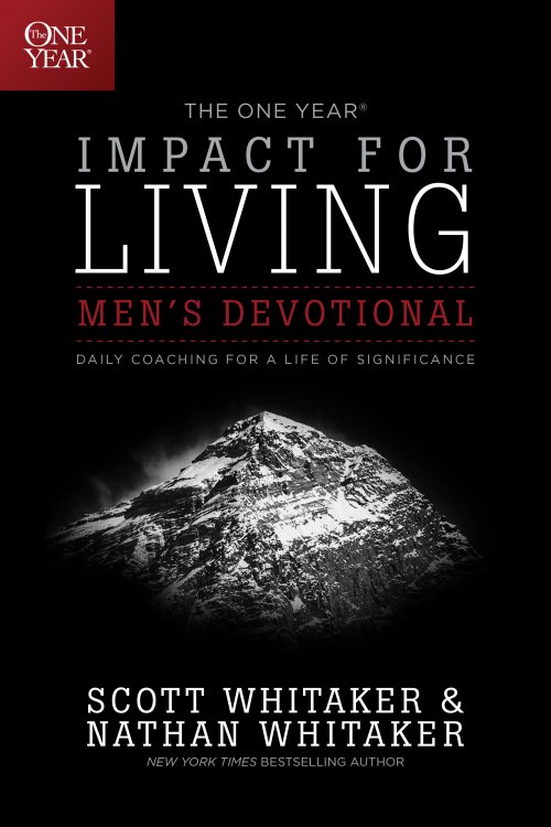 One Year Impact For Living Mens Devo