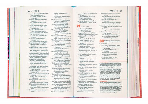 NLT Girl's Life Application Study Bible