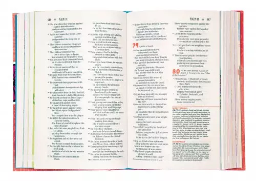 NLT Girl's Life Application Study Bible