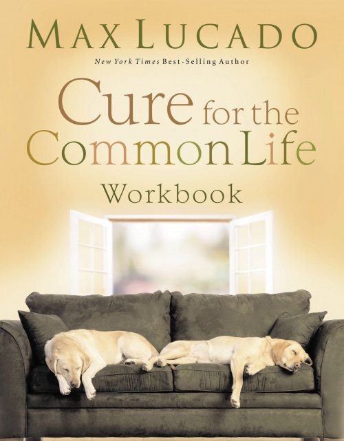 Cure For The Common Life Workbook