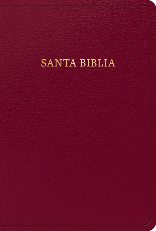 RVR 1960 Biblia letra grande tamaño manual, borgoña imitación piel (Edición 2023)