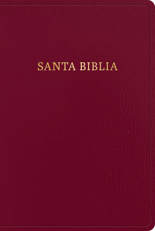 RVR 1960 Biblia letra gigante, borgoña, imitación piel con índice (2023 ed.)