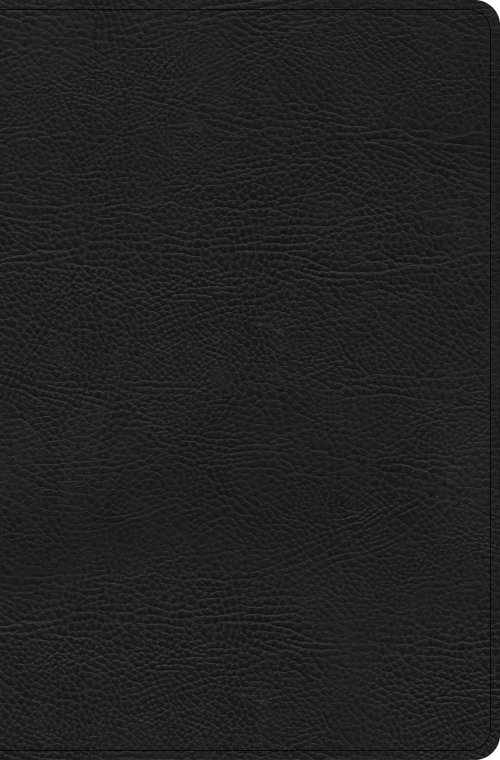 CSB Everyday Study Bible, Black Bonded Leather