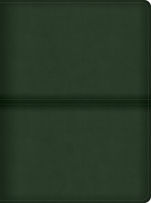 CSB Men's Daily Bible, Olive LeatherTouch