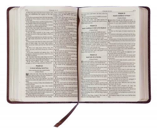 KJV Pocket Bible, Brown, Imitation Leather, Verse Finder, One Year Reading Plan, Presentation Page, Ribbon Marker, Gilt Edges