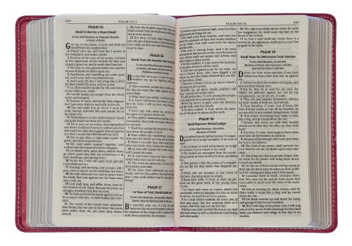 KJV Pocket Bible, Pink, Imitation Leather, Gift, Ribbon Marker, Lay-Flat Spine, Gilt Edges, Scripture Verse Finder, One Year Reading Plan