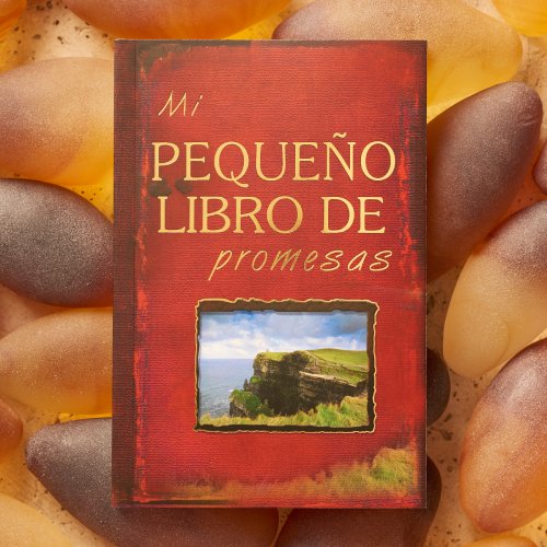 Mi pequeno libro de promesas