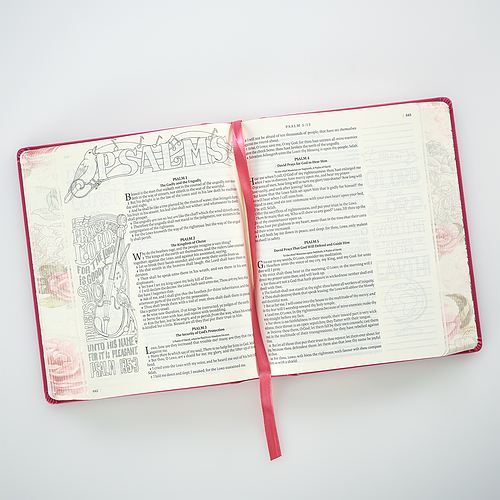 KJV My Creative Journaling Bible, Pink, Imitation Leather, Wide Margin, Illustrated, Colouring, Ribbon Marker