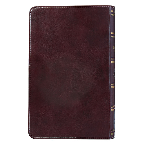 KJV Giant Print Lux-Leather Pink/Brown