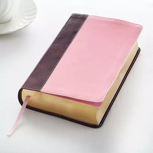 KJV Giant Print Lux-Leather Pink/Brown