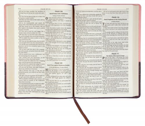 KJV Large Print Bible, Brown and Pink, Imitation Leather, Red Letter, Verse Finder, Reading Plan, Gilt Edged, Ribbon Marker, Presentation Page, Subheadings