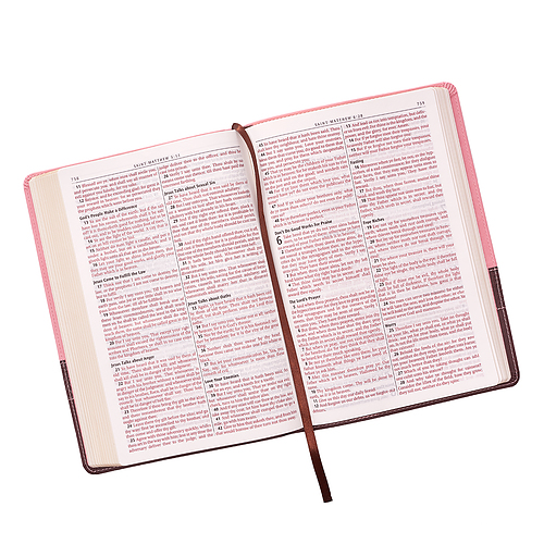 KJV Large Print Bible, Brown and Pink, Imitation Leather, Red Letter, Verse Finder, Reading Plan, Gilt Edged, Ribbon Marker, Presentation Page, Subheadings