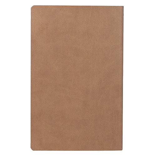 Tan Faux Leather King James Version Gift and Award Bible