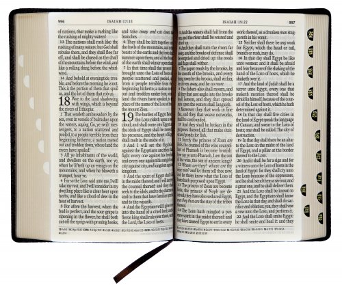 KJV Giant Print Bible, Dark Brown, Imitation Leather, Words of Christ in Red, Thumb Index, Footnote Verse Cross-Reference, Concordance, Bible Reading Plan