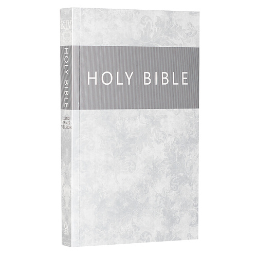 KJV Bible Outreach Softcover, Silver