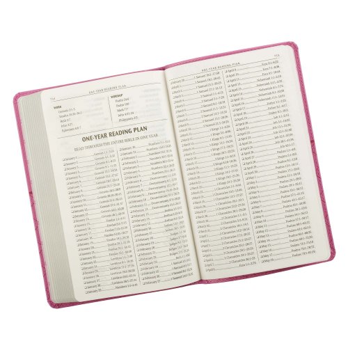 KJV Gift Bible, Pink, Imitation Leather, Gilt Edge, Reading Plan, Verse Finder