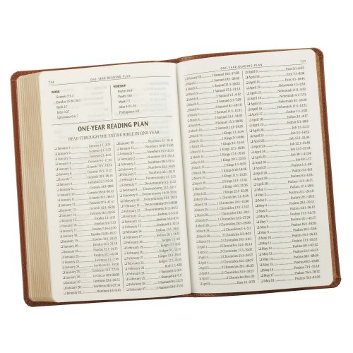 KJV Bible Gift Edition Faux Leather, Saddle Tan