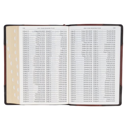 KJV Bible Giant Print Full-size Full-grain Leather, Espresso/Saddle Tan