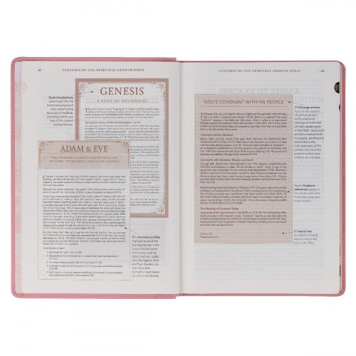 NLT Spiritual Growth Bible, Pink, Imitation Leather, Articles, Book Introductions, Character Profiles, Cross-References, Topical Index, Presentation Page, Ribbon Markers