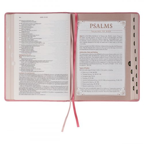 NLT Spiritual Growth Bible, Pink, Imitation Leather, Articles, Book Introductions, Character Profiles, Cross-References, Topical Index, Presentation Page, Ribbon Markers