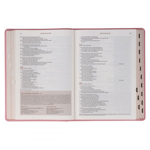 NLT Spiritual Growth Bible, Pink, Imitation Leather, Articles, Book Introductions, Character Profiles, Cross-References, Topical Index, Presentation Page, Ribbon Markers