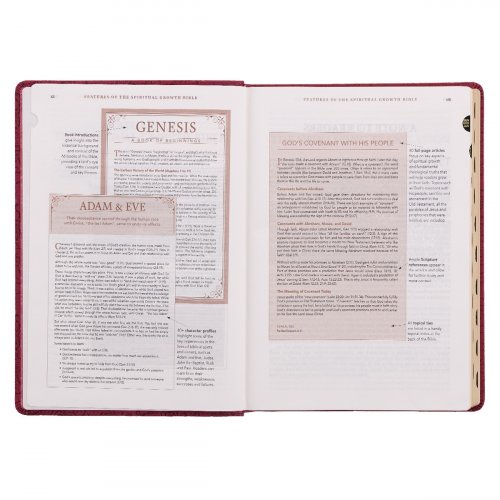 NLT Spiritual Growth Bible, Berry, Imitation Leather, Articles, Book Introductions, Character Profiles, Cross-References, Topical Index, Presentation Page, Ribbon Markers, Thumb Index, Gilt Edge