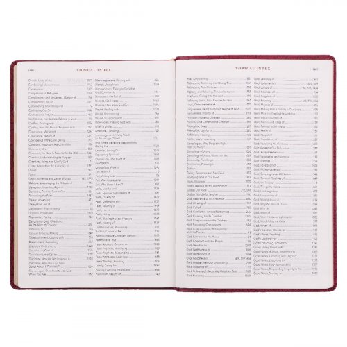 NLT Spiritual Growth Bible, Berry, Imitation Leather, Articles, Book Introductions, Character Profiles, Cross-References, Topical Index, Presentation Page, Ribbon Markers, Thumb Index, Gilt Edge