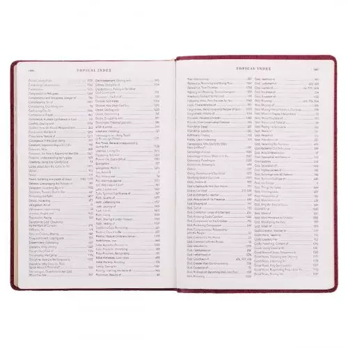 NLT Spiritual Growth Bible, Berry, Imitation Leather, Articles, Book Introductions, Character Profiles, Cross-References, Topical Index, Presentation Page, Ribbon Markers, Thumb Index, Gilt Edge