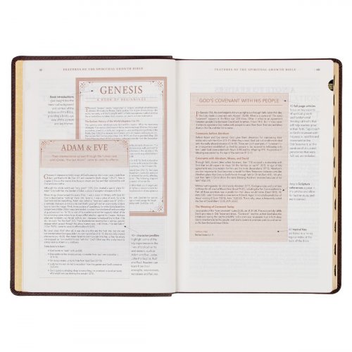 NLT Spiritual Growth Bible, Brown, Imitation Leather, Articles, Book Introductions, Character Profiles, Cross-References, Topical Index, Presentation Page, Ribbon Markers, Thumb Index