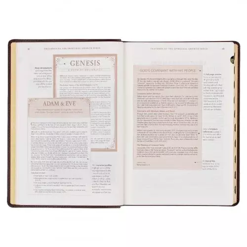 NLT Spiritual Growth Bible, Brown, Imitation Leather, Articles, Book Introductions, Character Profiles, Cross-References, Topical Index, Presentation Page, Ribbon Markers, Thumb Index