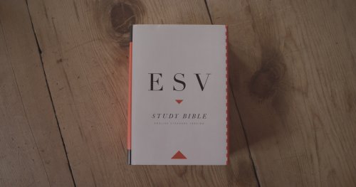 ESV Study Bible (Hardcover)