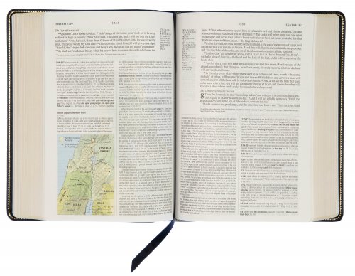 ESV Study Bible, Black, Genuine Leather, 20,000 Study Notes, Cross-Reference, Maps, Illustrated Articles, Gilt Edges, Ribbon Marker