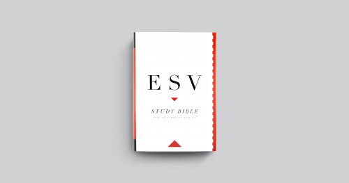 ESV Personal Size Study Bible Hardback