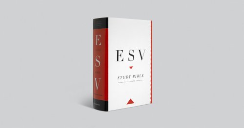 ESV Personal Size Study Bible Hardback