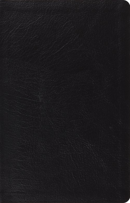 ESV Large Print Thin Reference