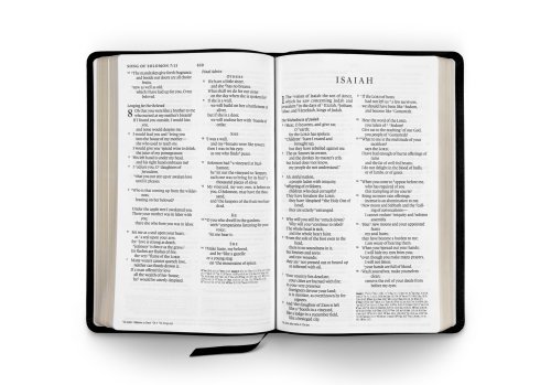 ESV Large Print Thin Reference