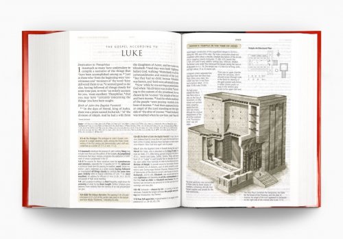 ESV Study Bible Large Print Hardback