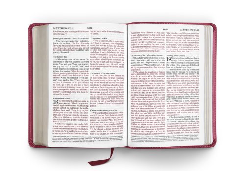 ESV Large Print Compact Bible, Red Letter (TruTone, Berry, Floral Design)