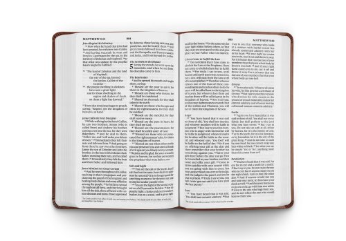 ESV Large Print Value Thinline Bible (TruTone, Chestnut)