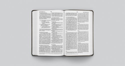 ESV Large Print Value Thinline Bible (TruTone, Olive, Celtic Cross Design)